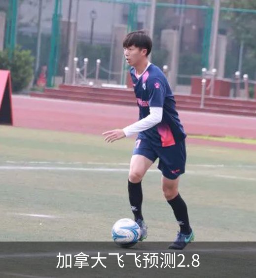加拿大飞飞预测2.8介绍